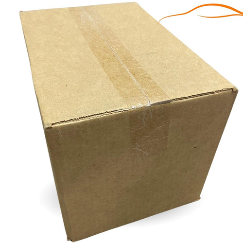 Caixa de Papelão Grande SemiKraft 30x20x10